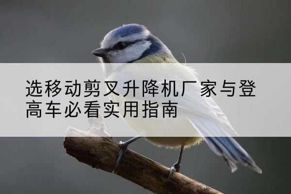 安多电动升降机厂家-选移动剪叉升降机厂家与登高车必看实用指南