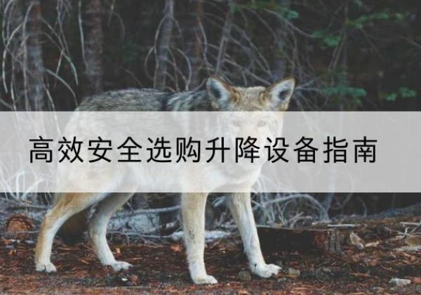 安多升降货梯厂家推荐-*安全选购升降设备指南